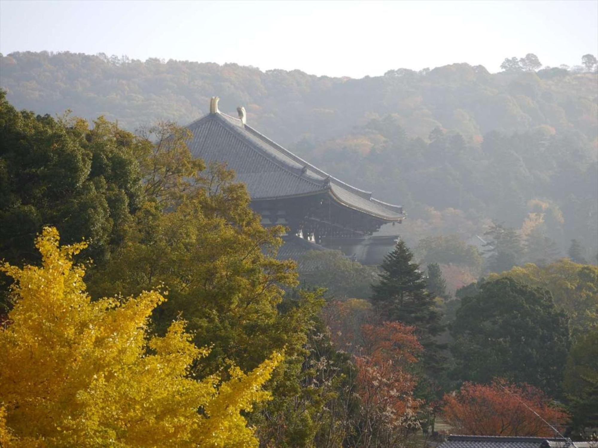 Hotel New Wakasa Nara Exterior photo